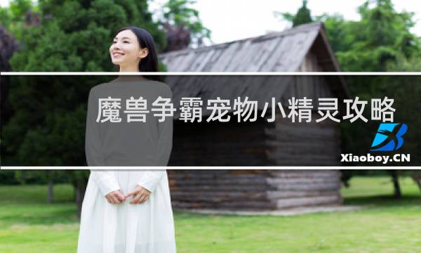魔兽争霸宠物小精灵攻略