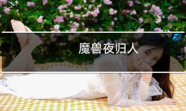 魔兽夜归人 攻略