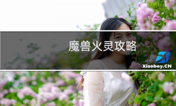 魔兽火灵攻略