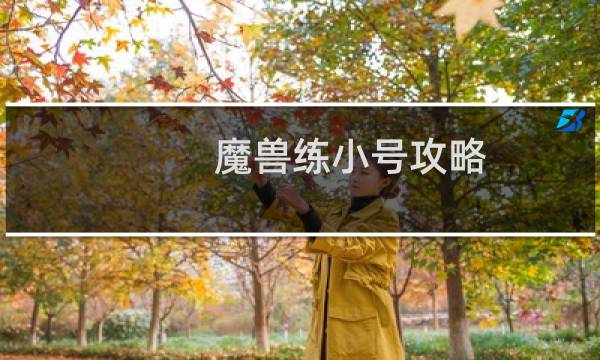 魔兽练小号攻略
