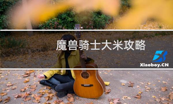 魔兽骑士大米攻略