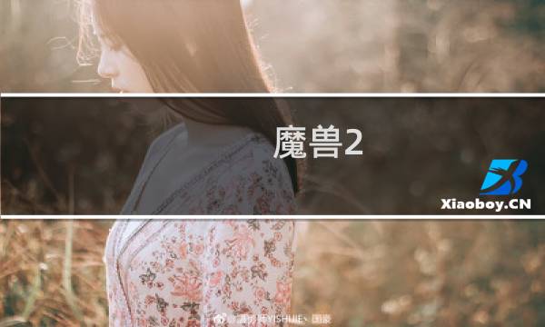 魔兽2.2攻略