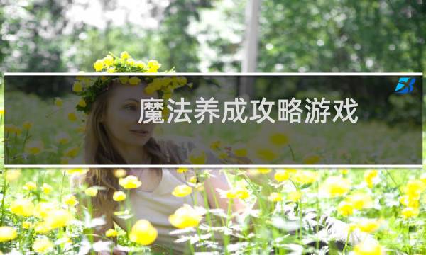 魔法养成攻略游戏