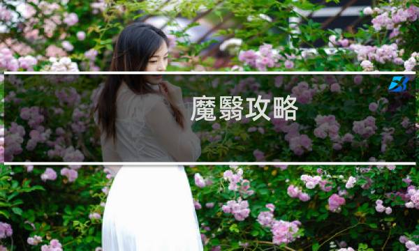魔翳攻略