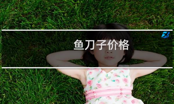 鱼刀子价格