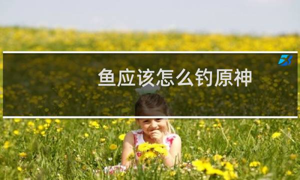 鱼应该怎么钓原神