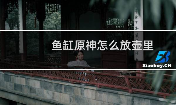 鱼缸原神怎么放壶里