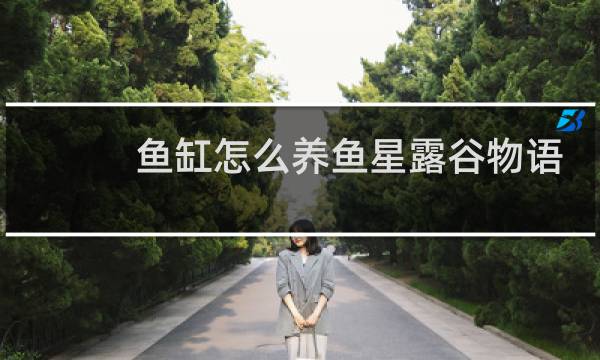 鱼缸怎么养鱼星露谷物语