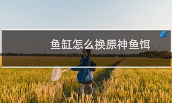 鱼缸怎么换原神鱼饵