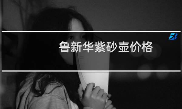 鲁新华紫砂壶价格