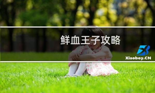鲜血王子攻略