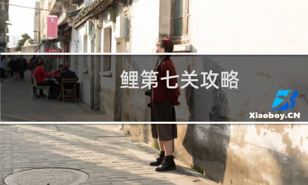 鲤第七关攻略