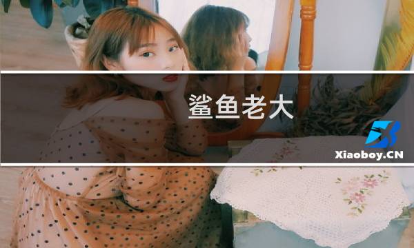 鲨鱼老大 攻略
