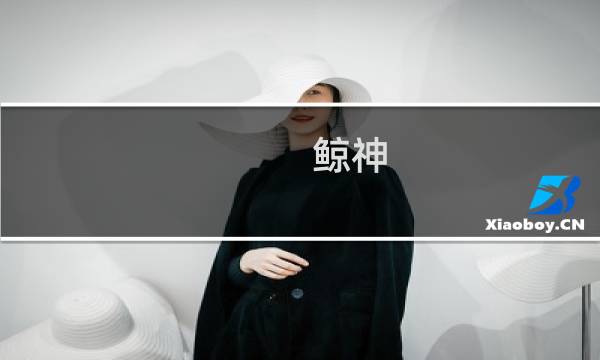 鲸神 攻略