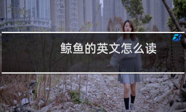 鲸鱼的英文怎么读