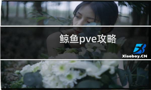 鲸鱼pve攻略