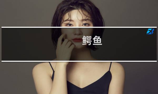 鳄鱼 左 右 价格