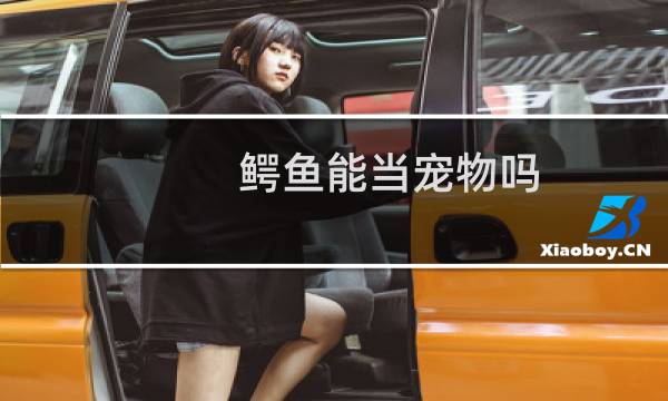 鳄鱼能当宠物吗