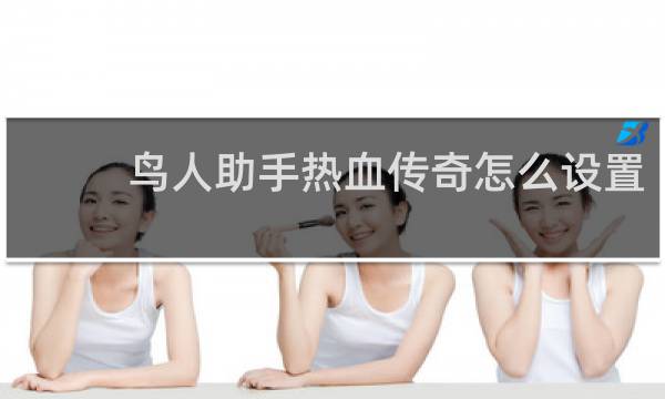 鸟人助手热血传奇怎么设置