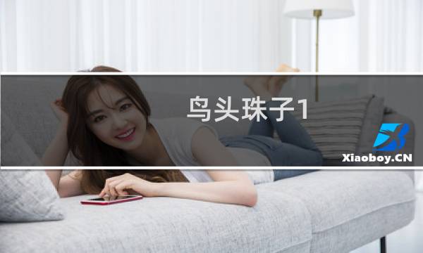 鸟头珠子1.0价格表