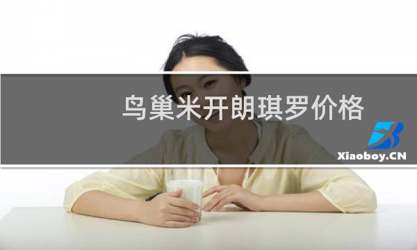 鸟巢米开朗琪罗价格