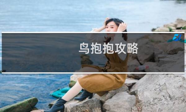 鸟抱抱攻略