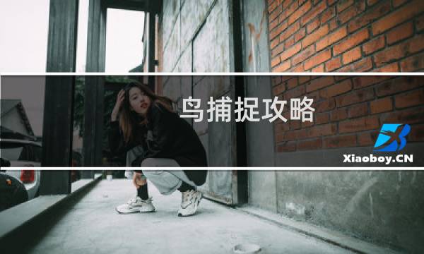 鸟捕捉攻略