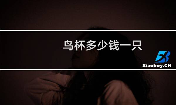 鸟杯多少钱一只