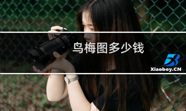 鸟梅图多少钱