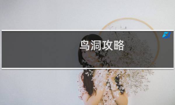 鸟洞攻略