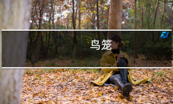 鸟笼   攻略