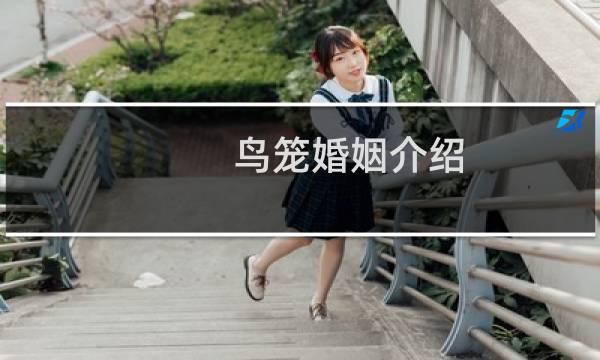 鸟笼婚姻介绍