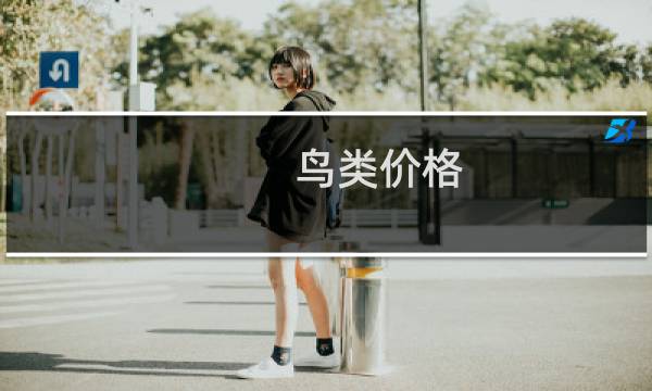鸟类价格