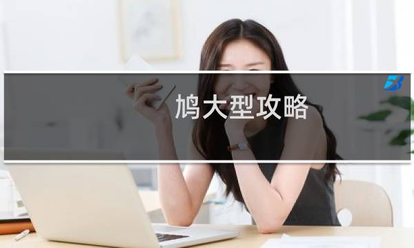 鸠大型攻略
