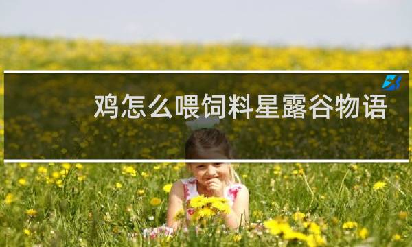 鸡怎么喂饲料星露谷物语
