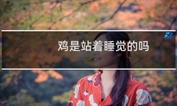 鸡是站着睡觉的吗