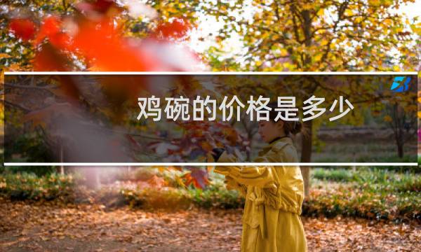 鸡碗的价格是多少
