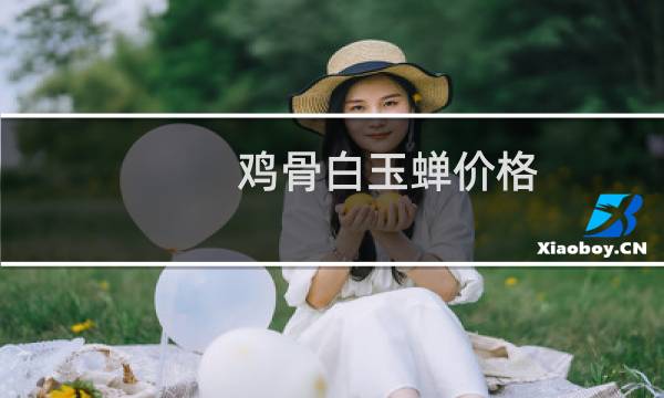鸡骨白玉蝉价格