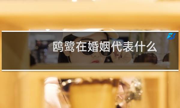 鸥鹭在婚姻代表什么