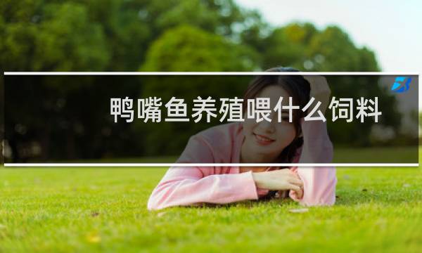 鸭嘴鱼养殖喂什么饲料