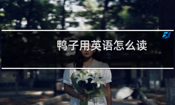 鸭子用英语怎么读