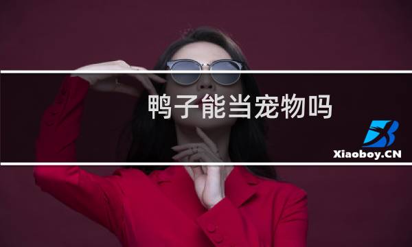 鸭子能当宠物吗