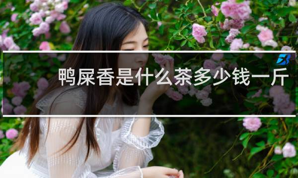 鸭屎香是什么茶多少钱一斤
