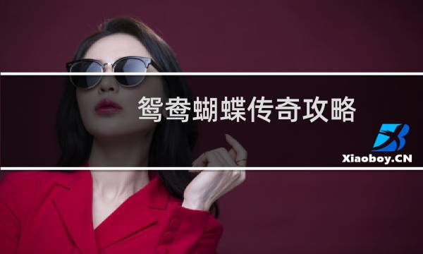 鸳鸯蝴蝶传奇攻略