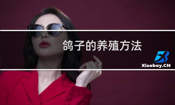 鸽子的养殖方法