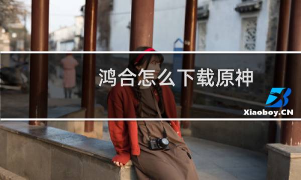鸿合怎么下载原神