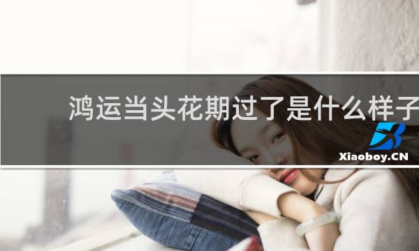 鸿运当头花期过了是什么样子