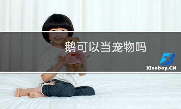 鹅可以当宠物吗