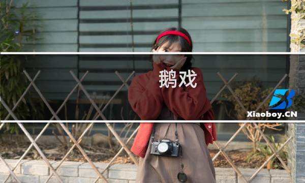 鹅戏 攻略
