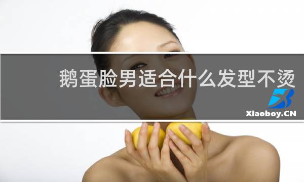 鹅蛋脸男适合什么发型不烫